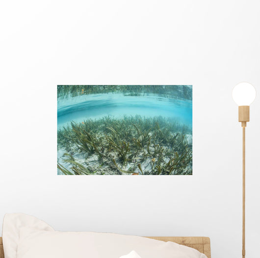 Sea Grass Meadow Grows Wall Decal