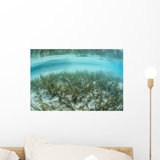 Sea Grass Meadow Grows Wall Decal