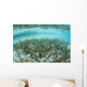 Sea Grass Meadow Grows Wall Decal