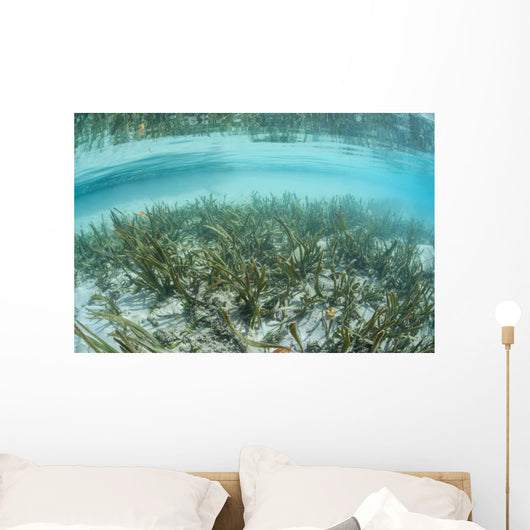 Sea Grass Meadow Grows Wall Decal
