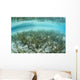 Sea Grass Meadow Grows Wall Decal