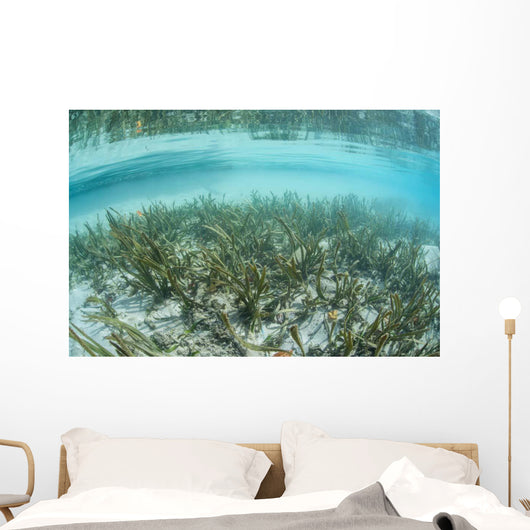 Sea Grass Meadow Grows Wall Decal
