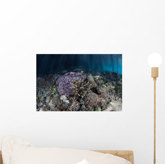 Corals Grow along Edge Wall Decal