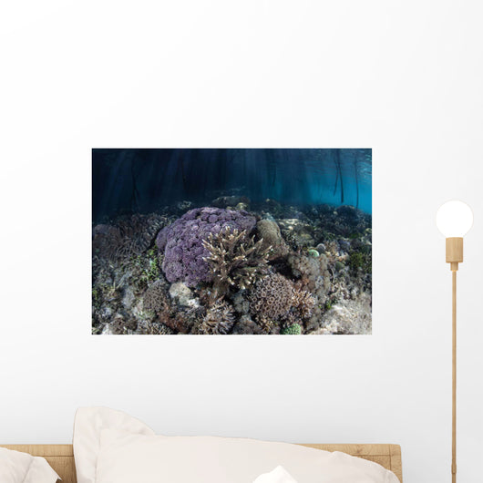 Corals Grow along Edge Wall Decal