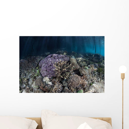 Corals Grow along Edge Wall Decal