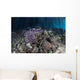 Corals Grow along Edge Wall Decal