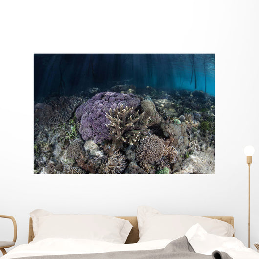 Corals Grow along Edge Wall Decal