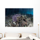 Corals Grow along Edge Wall Decal