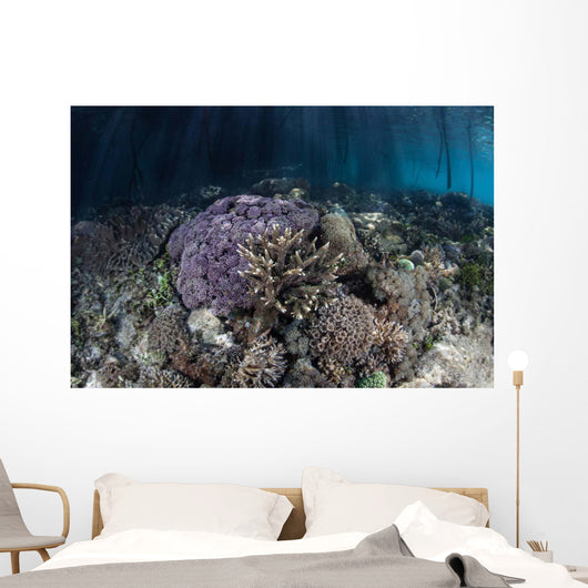 Corals Grow along Edge Wall Decal