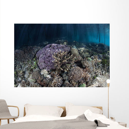 Corals Grow along Edge Wall Decal