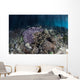 Corals Grow along Edge Wall Decal