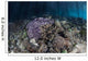 Corals Grow along Edge Wall Decal