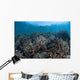 Juvenile Fish Swim above Wall Decal