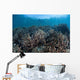 Juvenile Fish Swim above Wall Decal