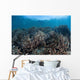 Juvenile Fish Swim above Wall Decal