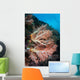 Soft Coral Colony Grows Wall Decal Design 6