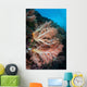 Soft Coral Colony Grows Wall Decal Design 6
