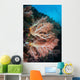 Soft Coral Colony Grows Wall Decal Design 6