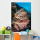 Soft Coral Colony Grows Wall Decal Design 6