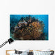 Golden Sweepers Swim under Wall Decal Design 6