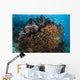 Golden Sweepers Swim under Wall Decal Design 6