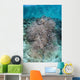Juvenile Fish Swarm around Wall Decal Design 2