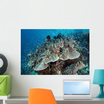 Juvenile Fish Swarm around Wall Decal Design 1 shown on a wall