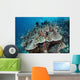 Juvenile Fish Swarm around Wall Decal Design 1