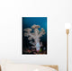 Soft Coral Colony Grows Wall Decal Design 5