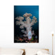 Soft Coral Colony Grows Wall Decal Design 5