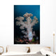 Soft Coral Colony Grows Wall Decal Design 5
