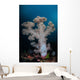 Soft Coral Colony Grows Wall Decal Design 5