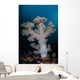 Soft Coral Colony Grows Wall Decal Design 5