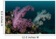Soft Coral Colony Grows Wall Decal Design 4