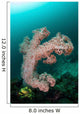 Soft Coral Colony Grows Wall Decal Design 3