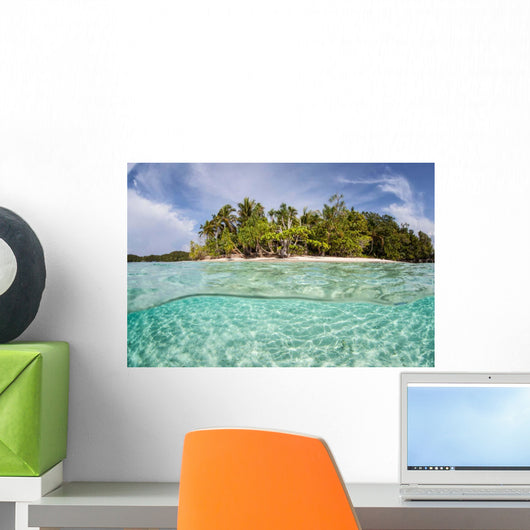Clear Waters Surround Remote Wall Decal