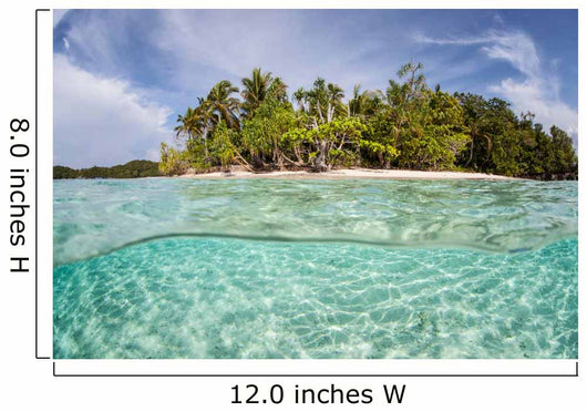 Clear Waters Surround Remote Wall Decal