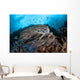Strong Current Sweeps along Wall Decal