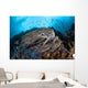 Strong Current Sweeps along Wall Decal
