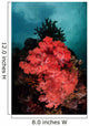Soft Coral Colony Grows Wall Decal Design 2
