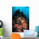 Beautiful Soft Coral Colonies Wall Decal Design 2