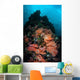 Beautiful Soft Coral Colonies Wall Decal Design 2