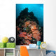 Beautiful Soft Coral Colonies Wall Decal Design 2