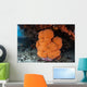 Soft Coral Colony Grows Wall Decal Design 1