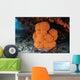 Soft Coral Colony Grows Wall Decal Design 1
