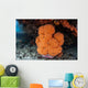 Soft Coral Colony Grows Wall Decal Design 1