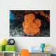 Soft Coral Colony Grows Wall Decal Design 1