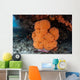 Soft Coral Colony Grows Wall Decal Design 1