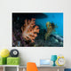 Soft Coral Colony and Wall Decal Design 2