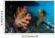 Soft Coral Colony and Wall Decal Design 2